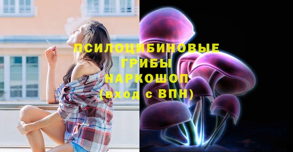 стафф Касимов