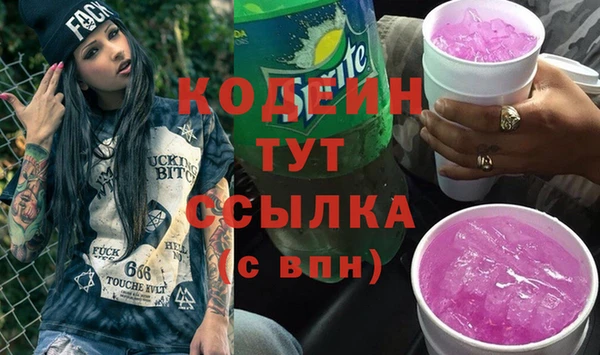 стафф Касимов