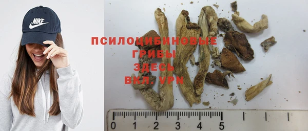 стафф Касимов