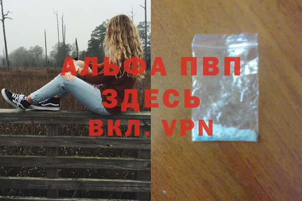 стафф Касимов