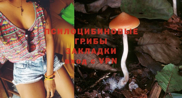 амф Карталы