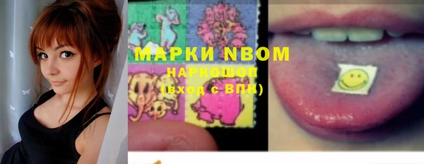 стафф Касимов