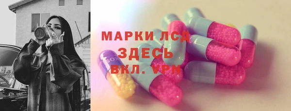 стафф Касимов