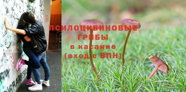 метамфетамин Карпинск