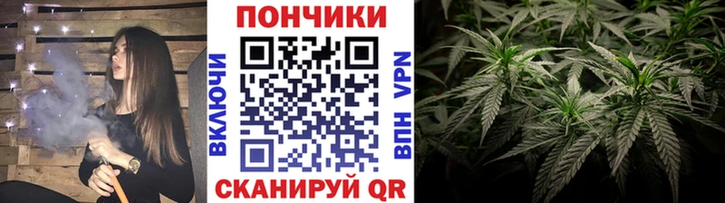Купить  Моршанск  Бошки Шишки THC 21% 